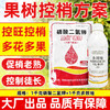 果树控夏梢控旺方案多效唑磷酸二氢钾促花专用叶面肥调节剂农用 商品缩略图0