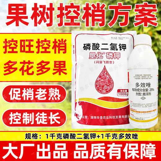 果树控夏梢控旺方案多效唑磷酸二氢钾促花专用叶面肥调节剂农用 商品图0