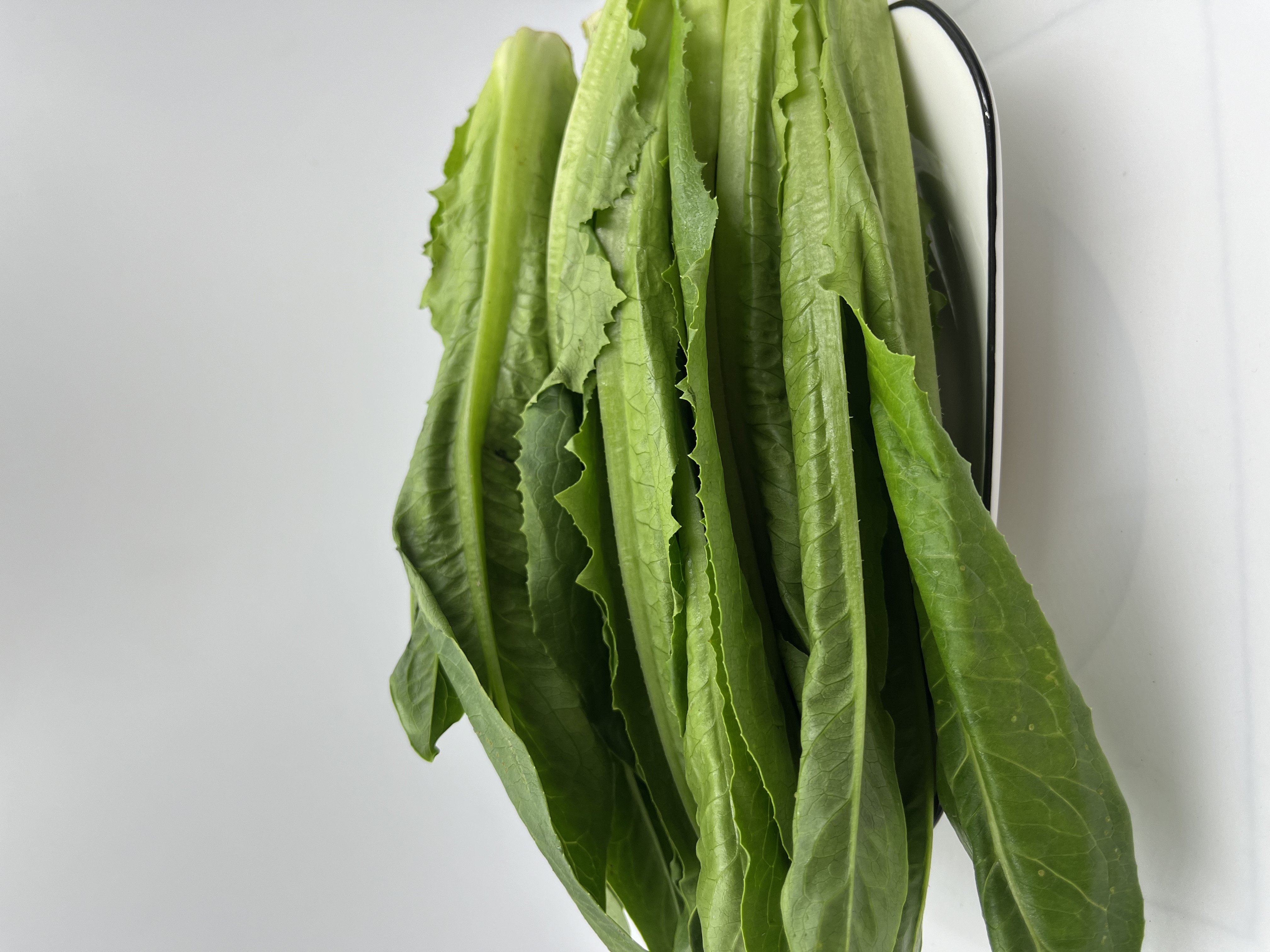 朴愿甄选   高原香麦苗   250克