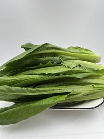 朴愿甄选   高原香麦苗   250克