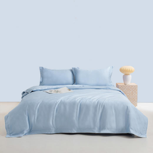 素雅高密四件套 商品图4
