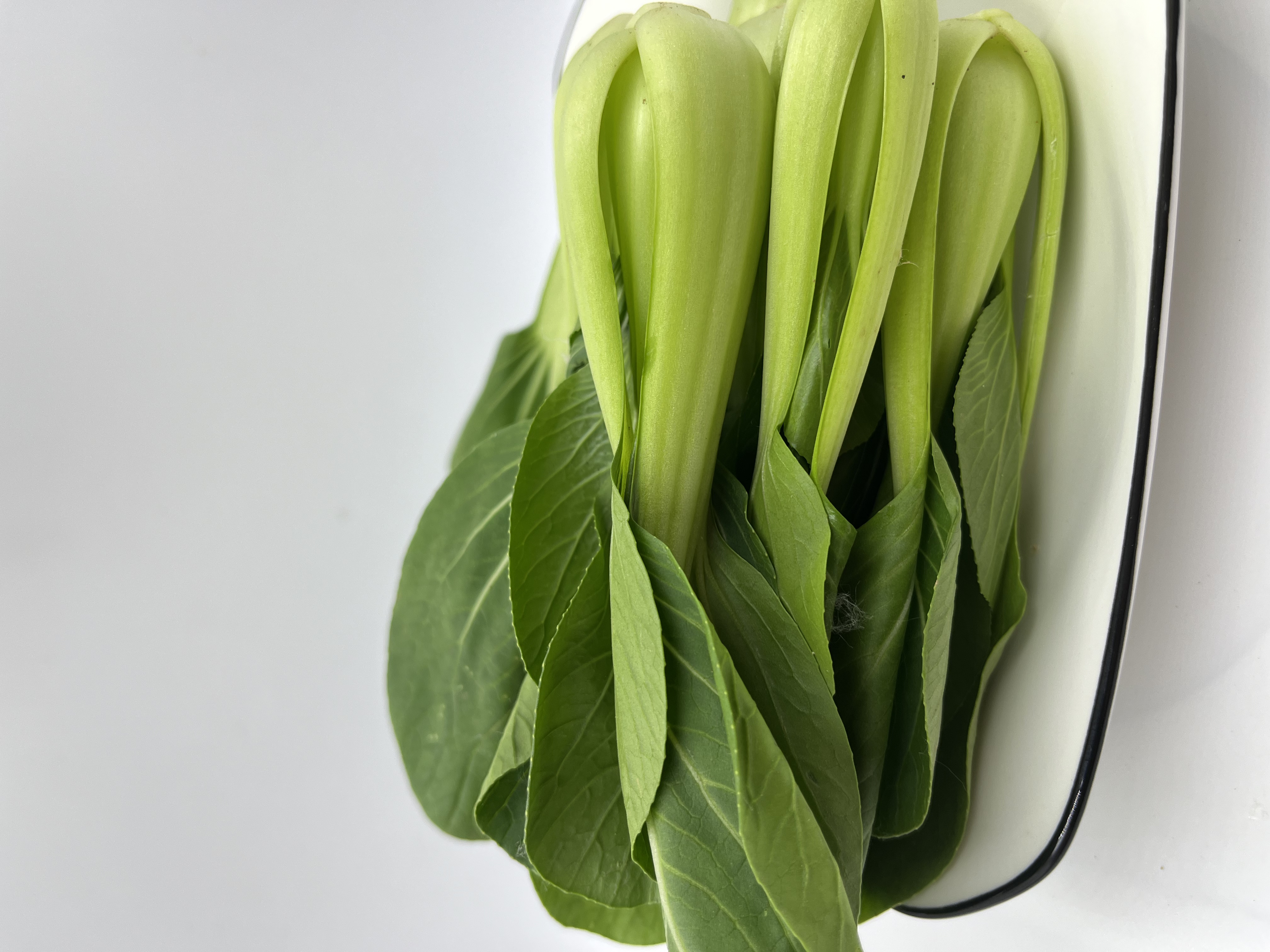 朴愿甄选   高原小青苗   250克