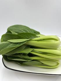 朴愿甄选   高原小青苗   250克