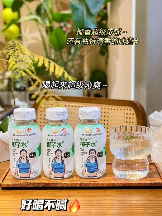 实现椰子水自由!!【椰谷领头鲜椰子水】，吴艳妮代言品牌🔥椰子水含量𝟏𝟎𝟎％，纯纯的无添加 ✅选用东南亚进口椰源！𝐎脂肪、𝐎白砂糖添加！ 商品图3