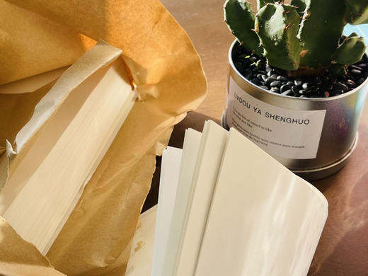 护眼道林纸（A4）米黄打印纸500张【2月开学文具合集】 商品图1