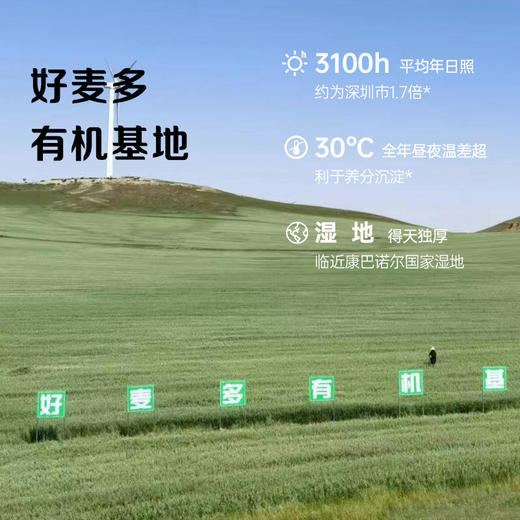 【有机燕麦片】选用当季新粮颗粒饱满 1袋1码全程有机可朔源 即食谷物300g/袋AA 商品图5