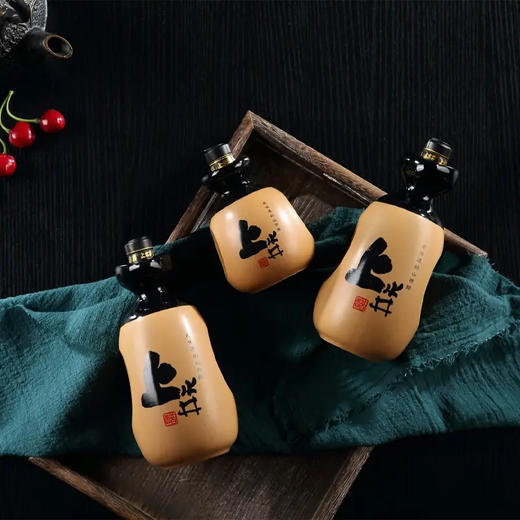 上水井  手工十年全家福老陈醋1.15L 商品图5