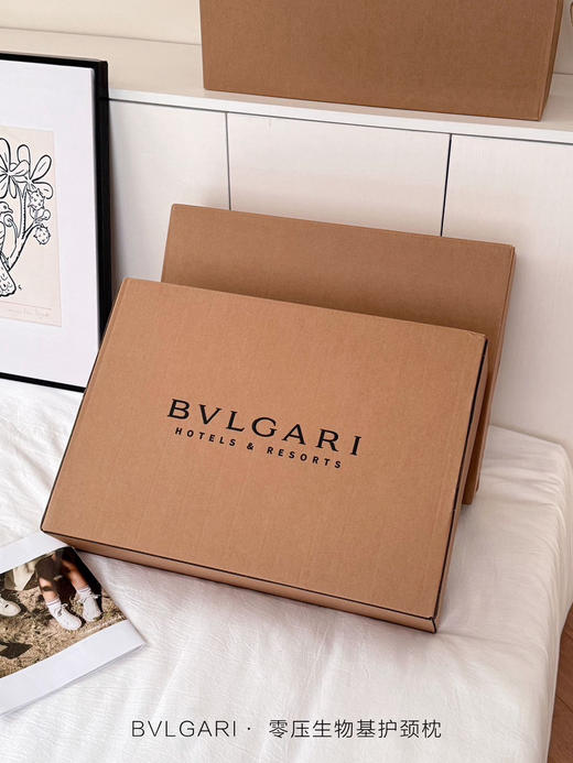 零压生物基护颈枕  自己备注颜色 香槟金。冰川蓝。 月光灰 商品图10