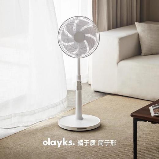 olayks立时 12寸直流落地风扇 LDS00101 商品图0