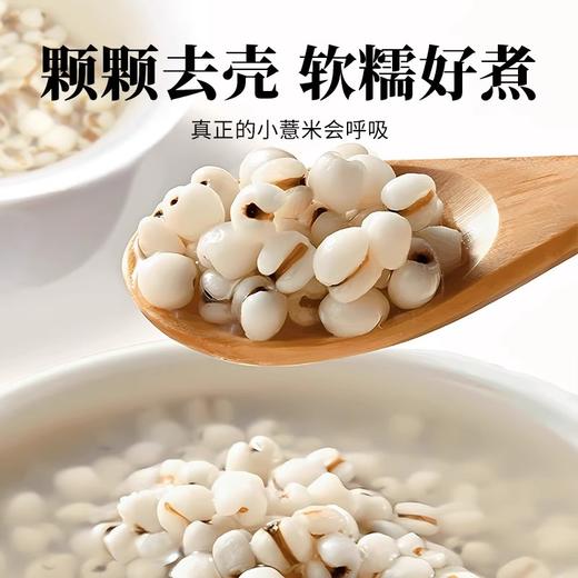 在菌屋 正宗贵州小薏米900g/罐 百年梯田老品种 颗颗去壳 软糯好煮 商品图2