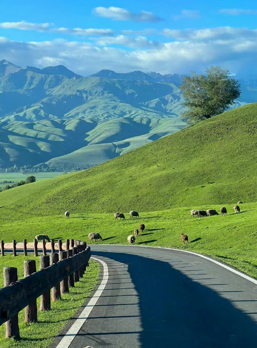 云南定制行程【丽江+泸沽湖+香格里拉+沙溪+大理8N9D】