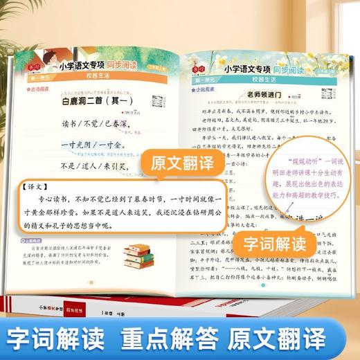 小学语文同步阅读1-6年级小学生阅读理解专项训练同步课本人教版 商品图3