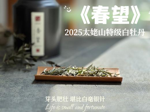 【2025春茶上市】2025特级白牡丹《春望》，弥漫着毫香与素雅花香，剥了叶子就是白毫银针，太像银针了 商品图0