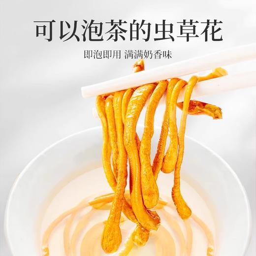 在菌屋 大孢子头虫草花300g/罐 色泽金黄 粗条饱满 无熏硫无添加 商品图4