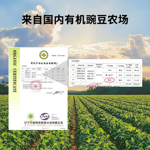 豌豆酱油 无麸质 特级酿造酱油 氨基酸态氮 眉山非遗传承 古法酿造40+年 有机豌豆 鲜甜  贝科姆家庭调味品 纯素食品 慢发酵纯酿 商品图4