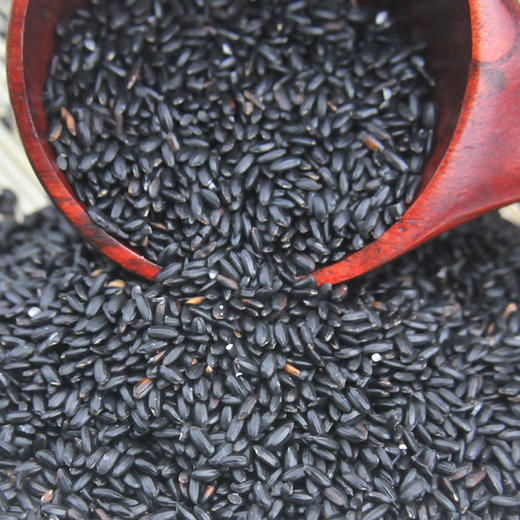 【守心谷】四川特产游仙区守心谷五谷杂粮透明袋装 绵阳特色甄选黑米 黑香米黑米粥原料 商品图1