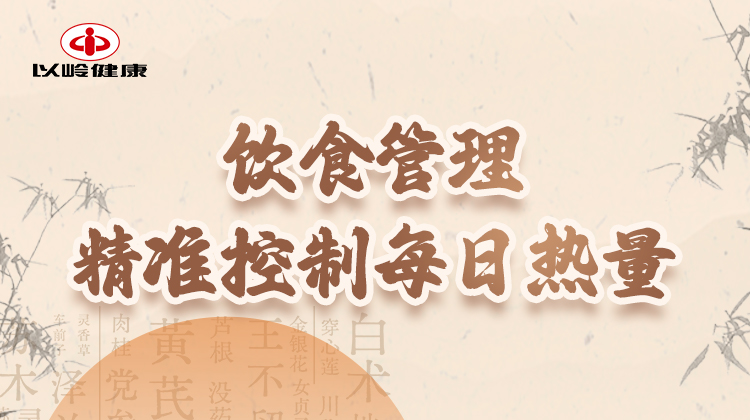 第三节：饮食管理 精准控制每日热量