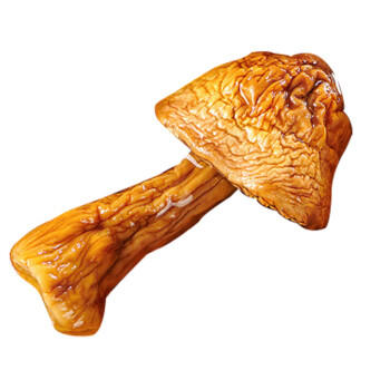 北大荒绿野姬松茸100g 煲汤菌菇火锅食材 /粮油调味 /南北干货 /菌菇干货 商品图1