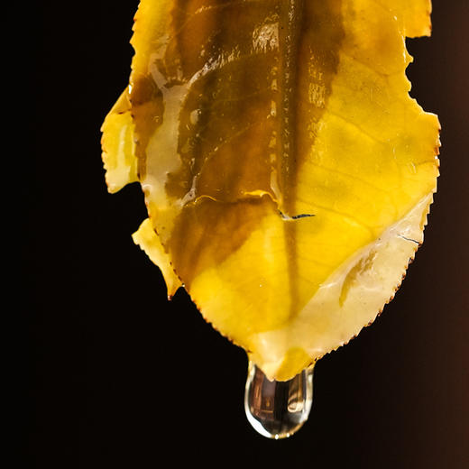 【古寨秘境七星级】2025年单株级别用料 斗茶级别的产品！古寨春店铺标杆巨作 易武茶区普洱茶生茶357克/饼 商品图6