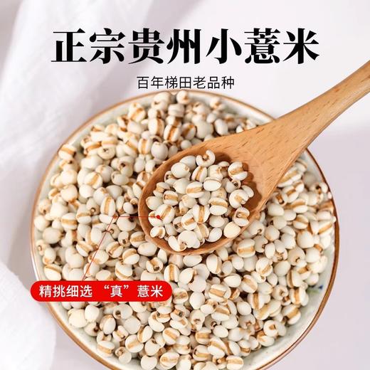 在菌屋 正宗贵州小薏米900g/罐 百年梯田老品种 颗颗去壳 软糯好煮 商品图1