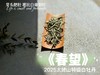 【2025春茶上市】2025特级白牡丹《春望》，弥漫着毫香与素雅花香，剥了叶子就是白毫银针，太像银针了 商品缩略图2