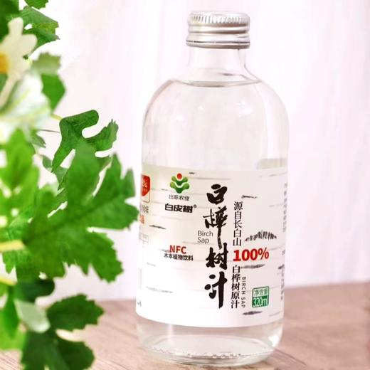320ml白皮树100%白桦树汁 商品图3