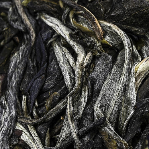 【古寨秘境七星级】2025年单株级别用料 斗茶级别的产品！古寨春店铺标杆巨作 易武茶区普洱茶生茶357克/饼 商品图3