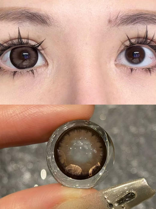 AROMI秋田棕（佩戴直径：14.5mm) 商品图1