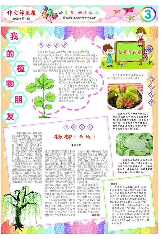 《作文评点报》2025年下半年小学三、四年级版合订本 商品图3