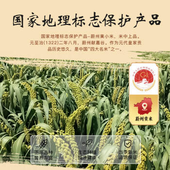 蔚嘉谷有机小米5斤五谷杂粮粥24年新米香糯小黄米蔚州贡米小米粥 /粮油调味 /杂粮 /谷米类 商品图2