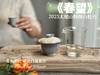 【2025春茶上市】2025特级白牡丹《春望》，弥漫着毫香与素雅花香，剥了叶子就是白毫银针，太像银针了 商品缩略图13