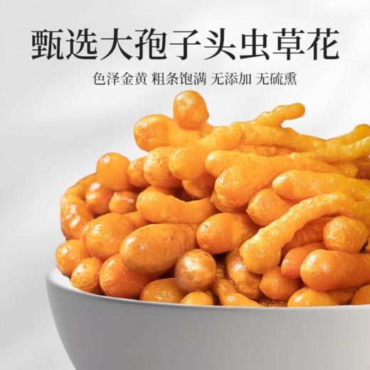 在菌屋 大孢子头虫草花300g/罐 色泽金黄 粗条饱满 无熏硫无添加 商品图2