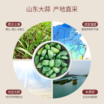 万兴姜老大新鲜腊八蒜糖醋蒜绿蒜醋泡蒜糖蒜头密封罐山东特产正宗400g*4罐 /粮油调味 /调味品 /榨菜/酱腌菜 商品图1