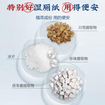 马应龙小蓝湿厕纸囤货家庭装408抽厕纸湿巾洁厕如厕湿纸温和无刺激 /家庭清洁/纸品 /清洁纸品 /湿厕纸 商品图2