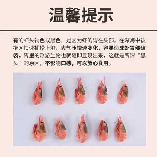 【悦惠精选】Member's Mark北极甜虾 1.5kg/盒 商品图1
