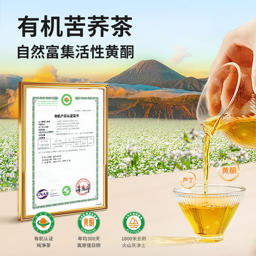 雁门清高有机黑苦荞茶320g麦香型山西特产苦荞大麦茶送礼礼盒 商品图2