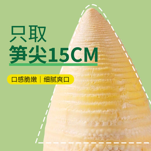 【星满厨有机糯米笋】古法烤笋工艺 笋香更浓郁 双重有机认证免切免泡，开袋即烹，配料干净便捷AA 商品图2