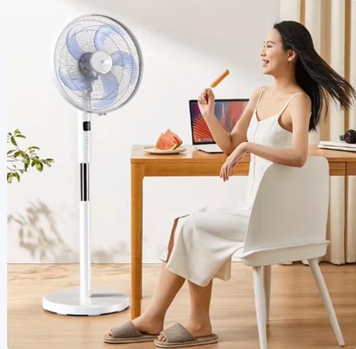 艾美特电风扇(510603)节能省电大风力空气循环摇头立式风扇轻音定时大风量落地扇 16吋遥控款FS40-R60 商品图1