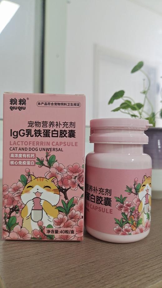 糗糗宠物营养补充剂-乳铁蛋白胶囊（40粒/盒） 商品图1