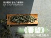 【2025春茶上市】2025特级白牡丹《春望》，弥漫着毫香与素雅花香，剥了叶子就是白毫银针，太像银针了 商品缩略图3