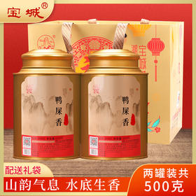 宝城鸭屎香单丛茶叶2罐装共500克散装清香型单枞茶乌龙茶礼盒装D405