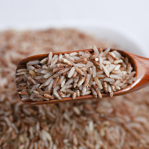 吉顺号食品 云南梯田红软米新米500克/袋 商品图4