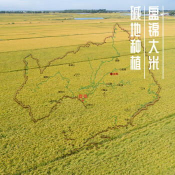 稻盛美碱地香米500g*3 新米 红海滩1号 寿司米 盘锦大米东北米3斤  /粮油调味 /米 /珍珠米 商品图1