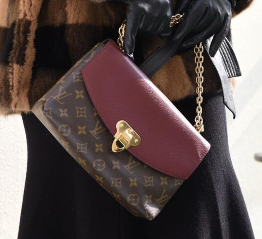 LV 酒红色 老花拼皮 Saint placide 链条包 商品图3