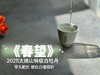 【2025春茶上市】2025特级白牡丹《春望》，弥漫着毫香与素雅花香，剥了叶子就是白毫银针，太像银针了 商品缩略图10