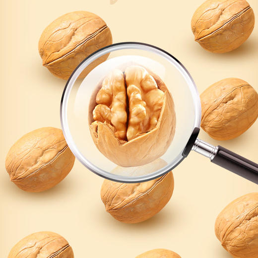 天山泉阿克苏核桃500g 商品图2