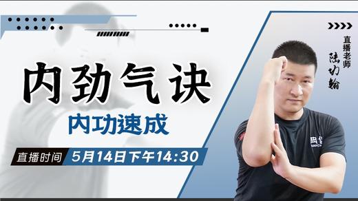 【5月14日】 内劲气诀（内功速成） 商品图0