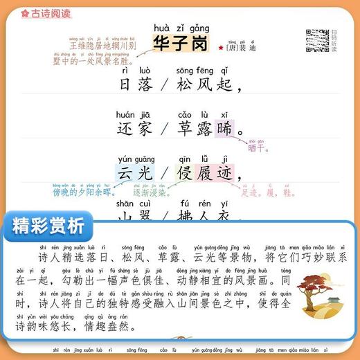小学语文同步阅读1-6年级小学生阅读理解专项训练同步课本人教版 商品图5