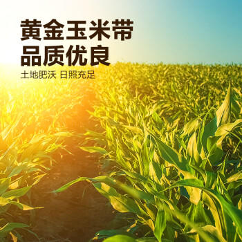 西王 食用油 玉米胚芽油鲜胚900ml 非转基因植物烘焙用油 /粮油调味 /食用油 /玉米油 商品图1