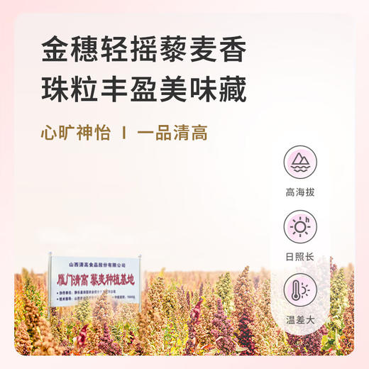 雁门清高   三色藜麦1680g礼盒装 轻食代餐饱腹营养五谷杂粮米 商品图3